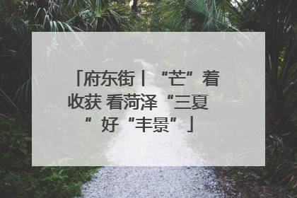 府东街丨“芒”着收获 看菏泽“三夏”好“丰景”